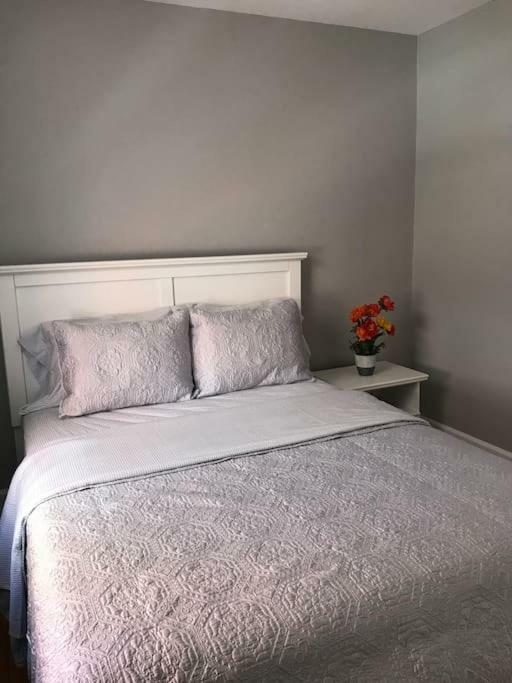 渥太華Bright, Clean, Private. In The Heart Of Downtown! Parking, Wi-Fi And Netflix Included公寓 外观 照片